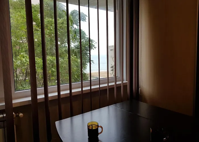 Plaja Reyna Apartament Constanţa