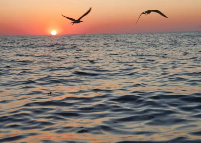 Apartament Plaja Reyna Constanţa