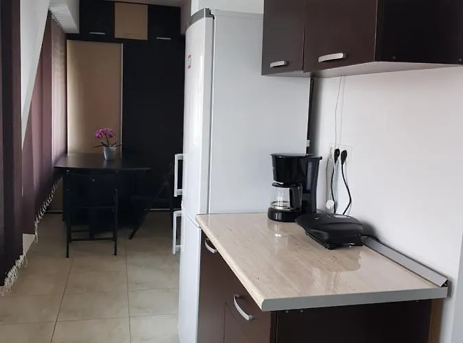 Apartament Plaja Reyna *