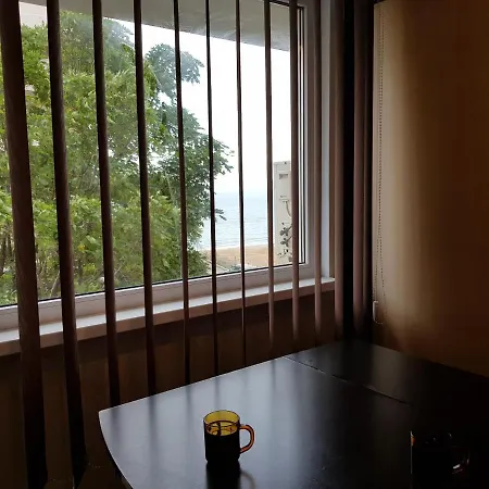 Apartament Plaja Reyna Apartment Constanta